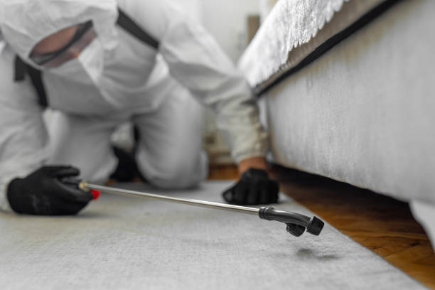Professional Bed Bug Control technician working in Mount Morris, IL