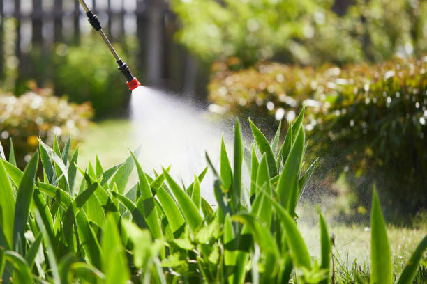 24/7 Emergency Bed Bug Control experts in Mount Morris, IL