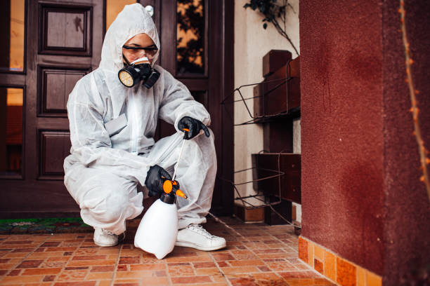 Reliable Bed Bug Control contractor in Mount Morris, IL by Nex Pest Control