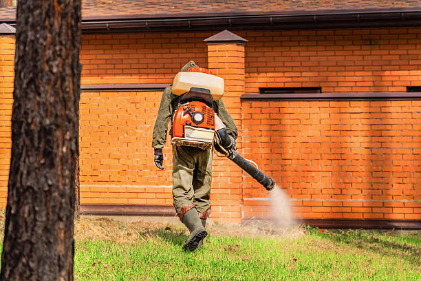 Top rated local Bed Bug Control specialists in Mount Morris, IL